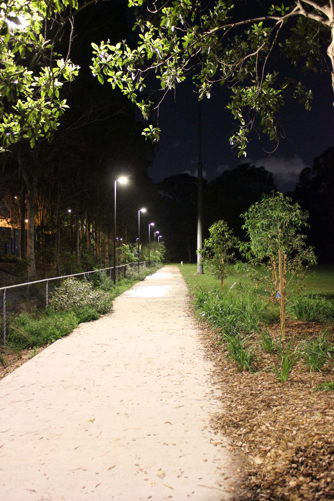 Thorntek crew member in branded orange on the newly lit pathway at Blackmore Oval